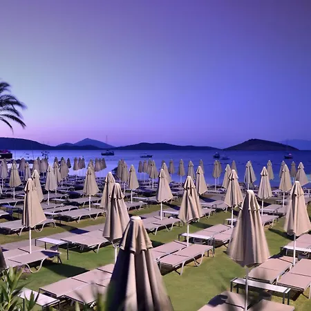 Luga Boutique Hotel&beach Hotel